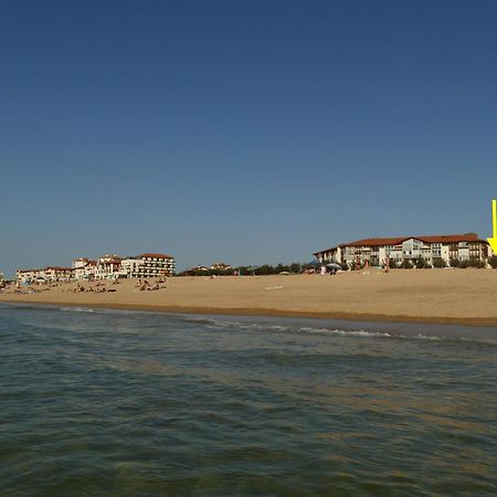 La Dune D'Or - Vue Mer, Studio Face A La Plage Avec Terrasse Soorts-Hossegor Exteriör bild